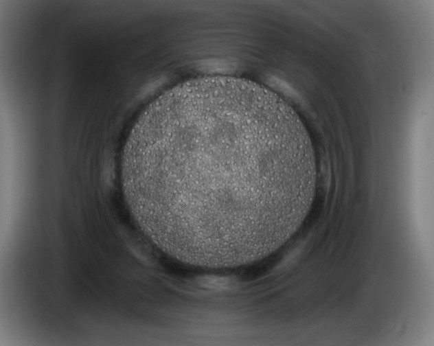 X0000085220255200703301709