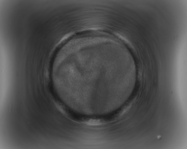 X0000085220256200703301709