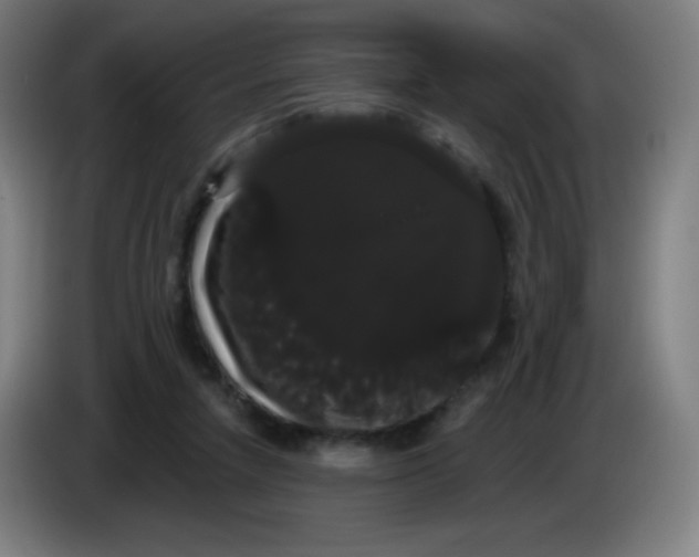 X0000085220258200703301709