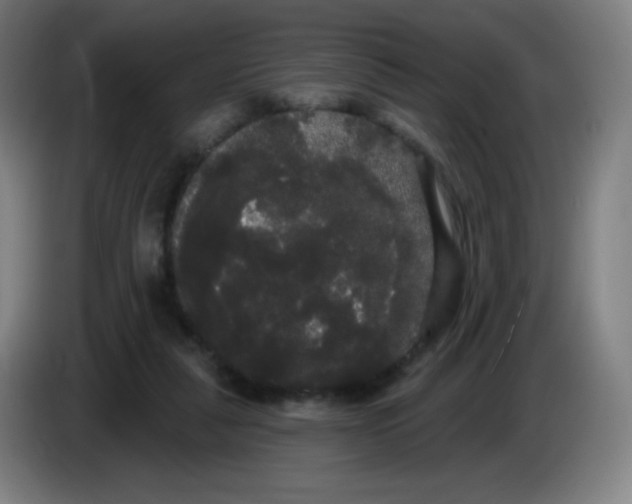 X0000085220259200703301709