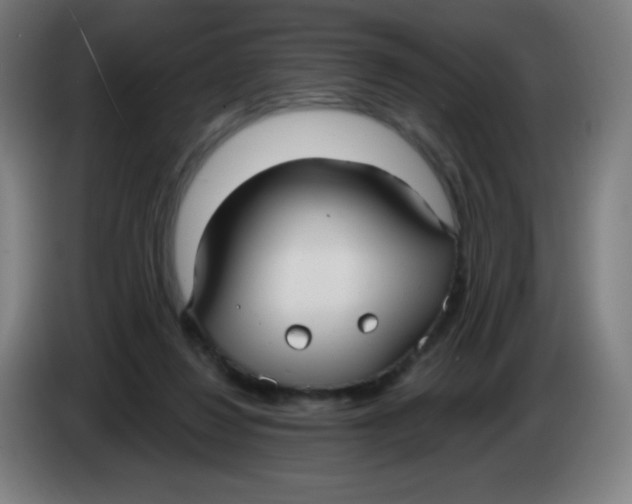 X0000085220260200703301709