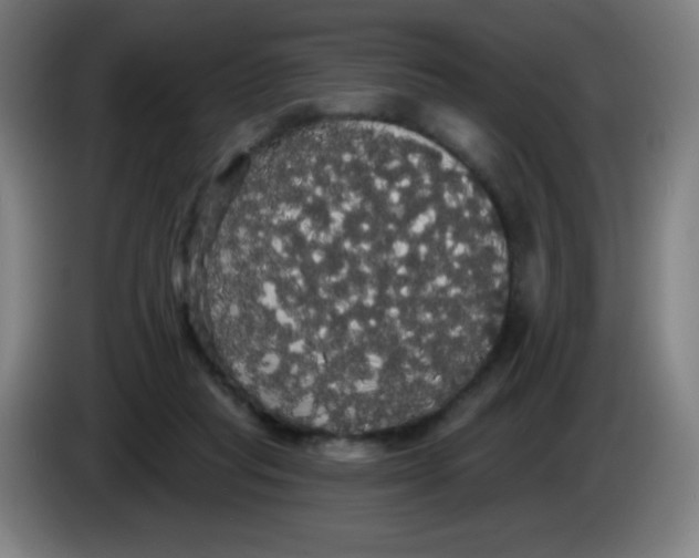 X0000085220261200703301709