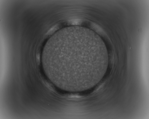 X0000085220262200703301709