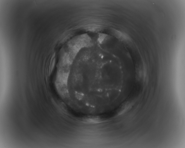 X0000085220263200703301710