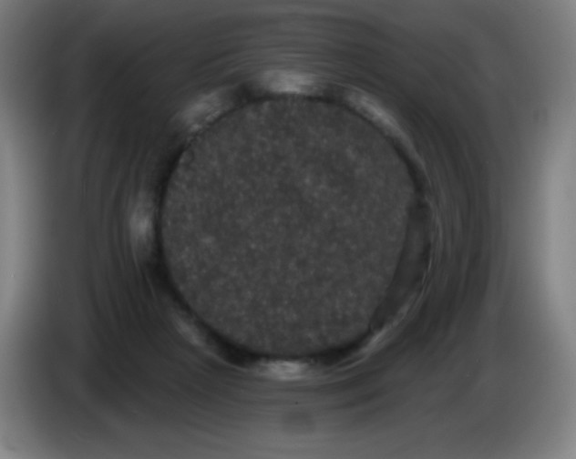 X0000085220265200703301710