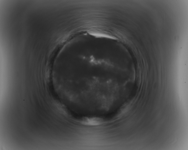 X0000085220268200703301710