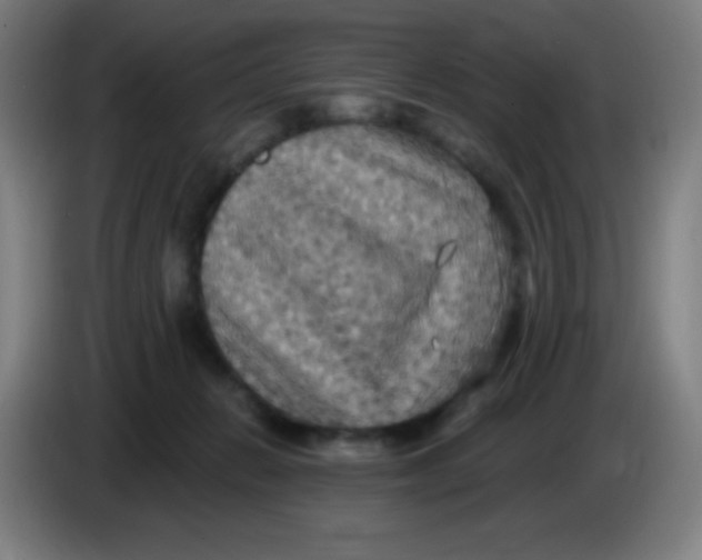 X0000085220270200703301710
