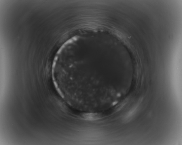 X0000085220273200703301710