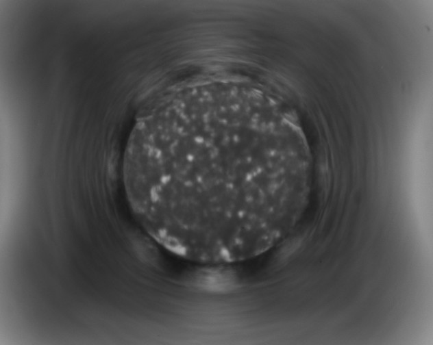 X0000085220275200703301710