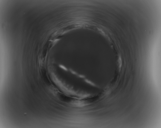 X0000085220276200703301710