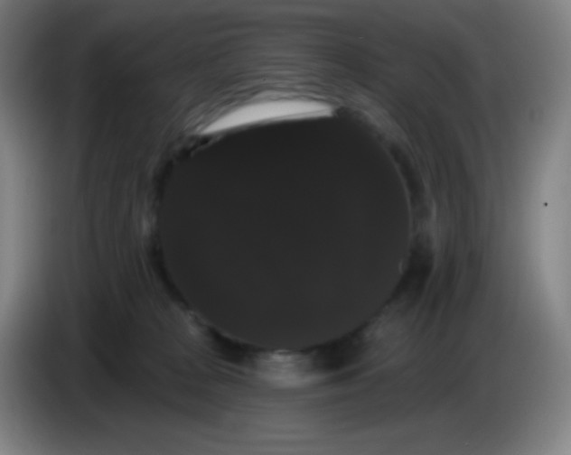 X0000085220277200703301710