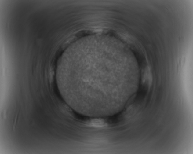 X0000085220279200703301710