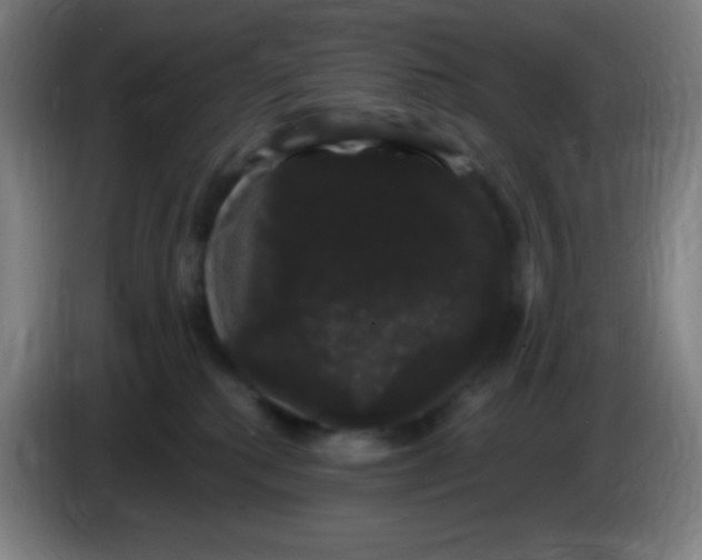 X0000085220280200703301710