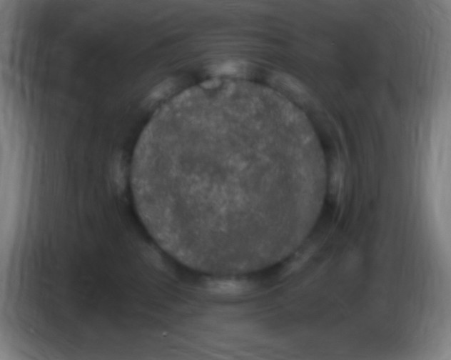 X0000085220282200703301710