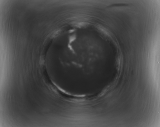 X0000085220284200703301710