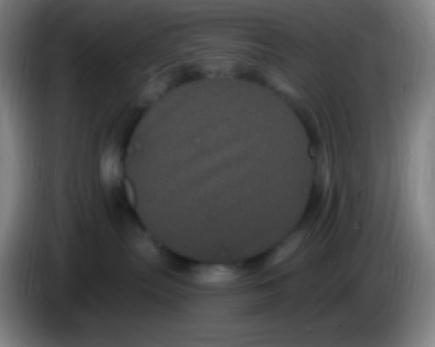 X0000085220287200703301710