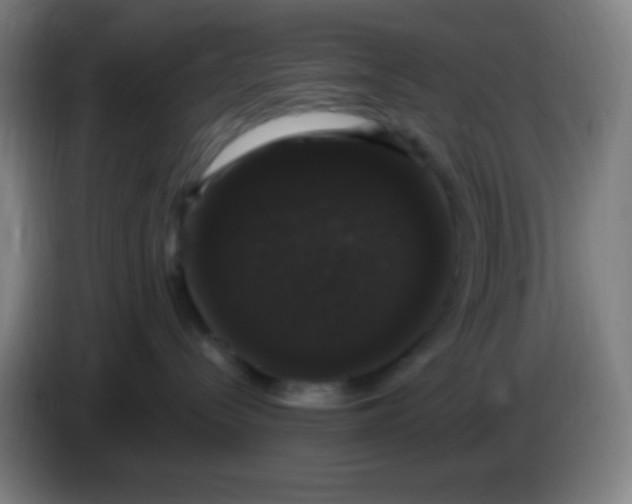 X0000085220288200703301710
