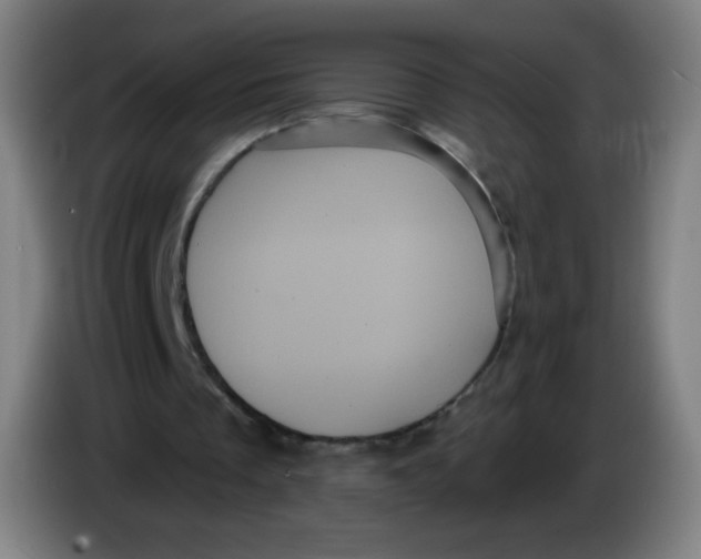 X0000085220289200703301709