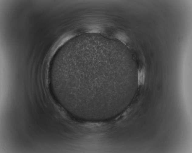 X0000085220291200703301709