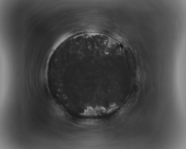 X0000085220292200703301709