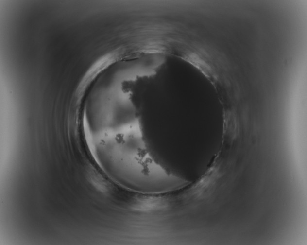 X0000085220293200703301709