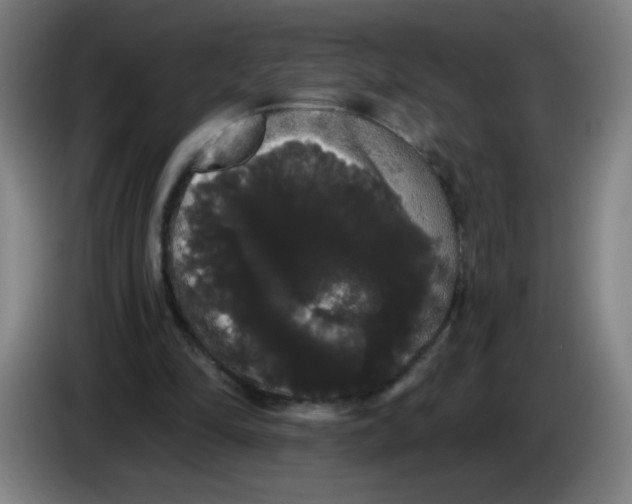 X0000085220294200703301709