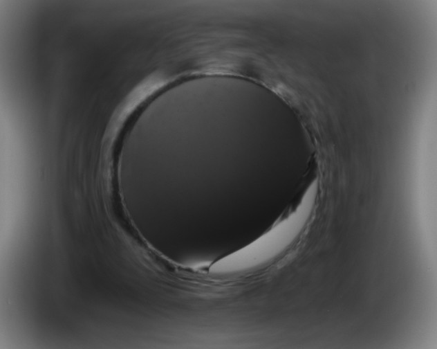 X0000085220295200703301709