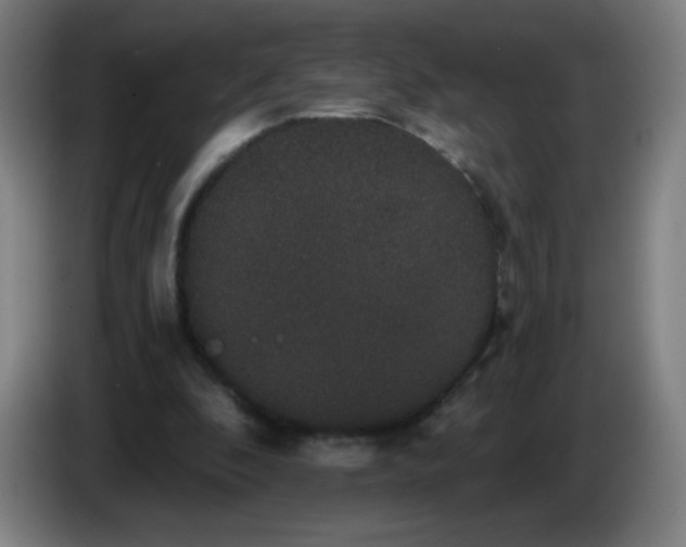 X0000085220296200703301709