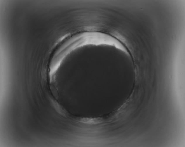 X0000085220297200703301709