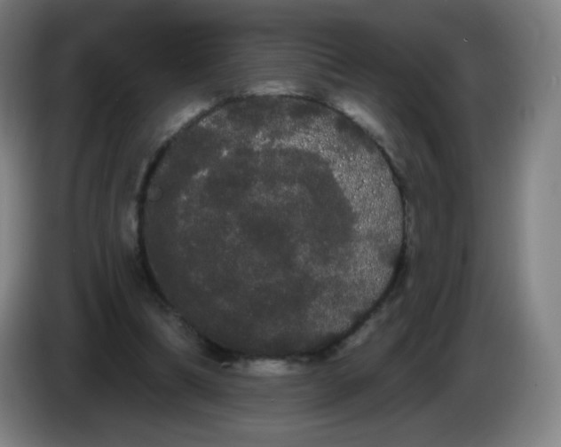X0000085220298200703301709