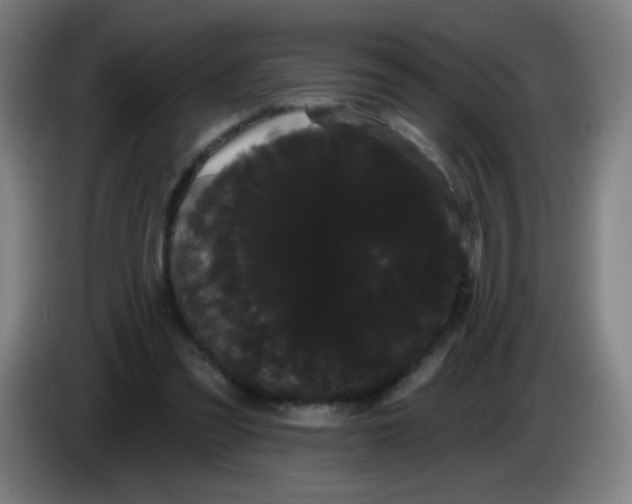 X0000085220301200703301709