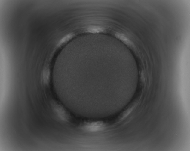 X0000085220304200703301709