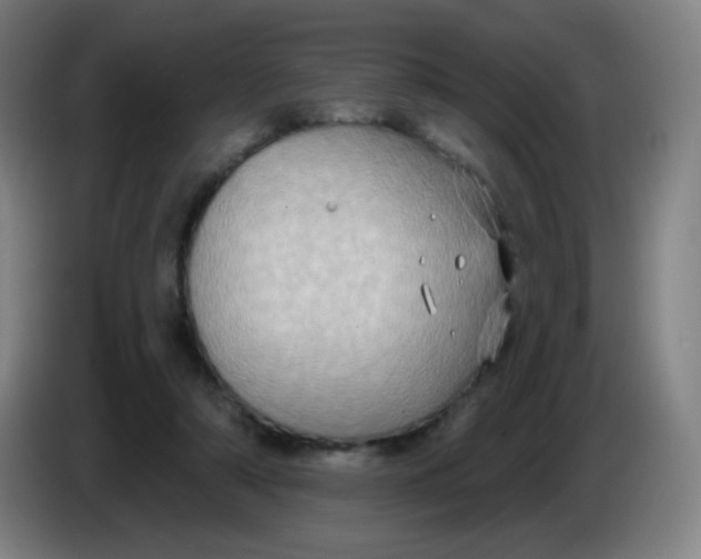X0000085220306200703301709
