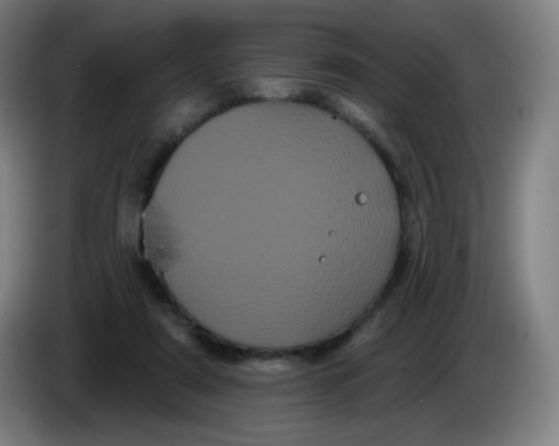 X0000085220307200703301709