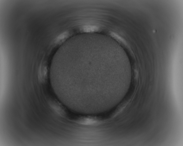 X0000085220308200703301709