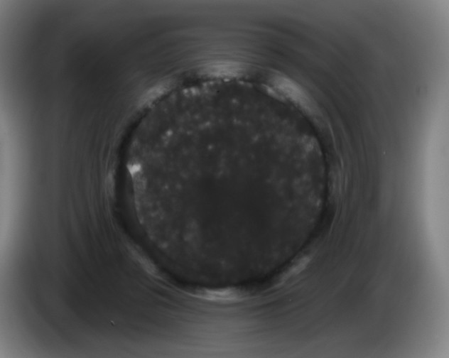X0000085220309200703301709