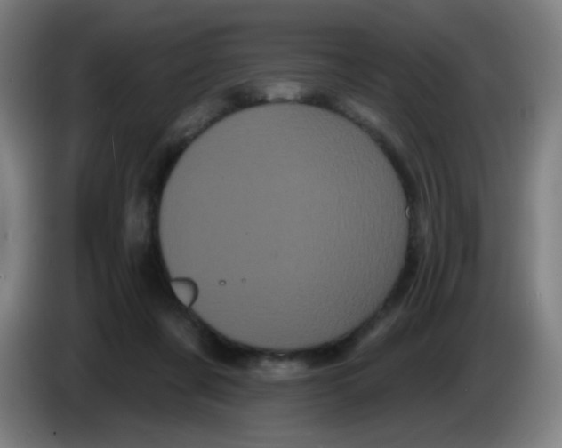 X0000085220311200703301709