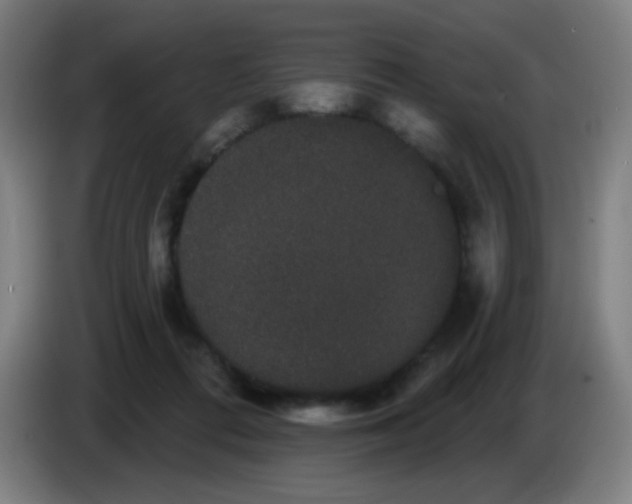X0000085220312200703301709
