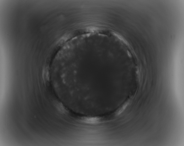 X0000085220313200703301709