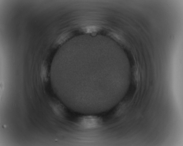 X0000085220316200703301709