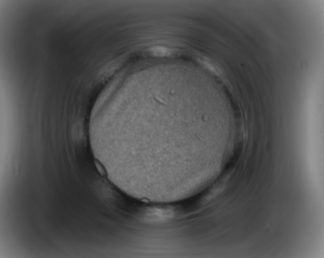 X0000085220317200703301709