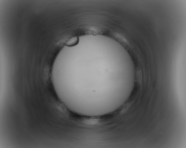 X0000085220318200703301709