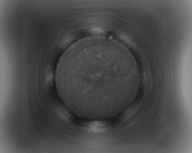 X0000085220320200703301709