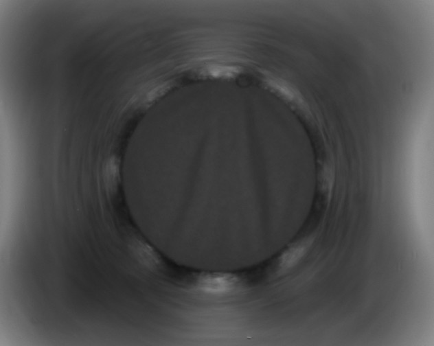 X0000085220321200703301709