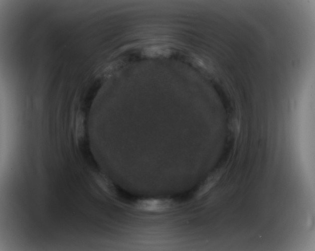 X0000085220323200703301709