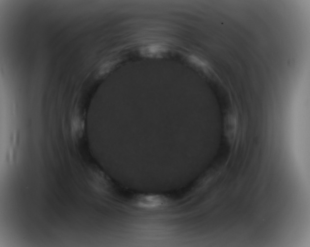 X0000085220324200703301709