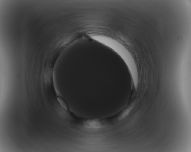 X0000085220325200703301709