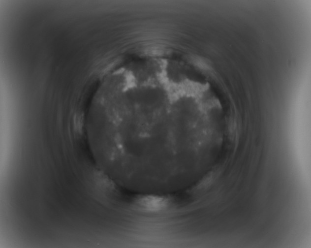 X0000085220326200703301709