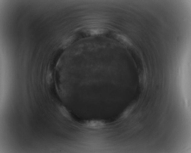 X0000085220327200703301709