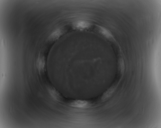X0000085220328200703301709